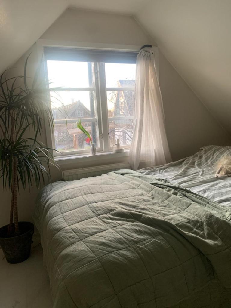 Millans Dockhus Villa Onslunda Exteriör bild