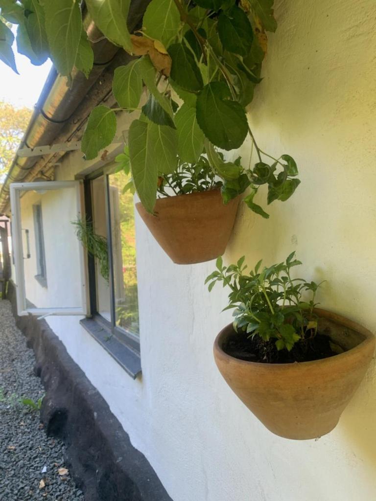 Millans Dockhus Villa Onslunda Exteriör bild